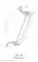 Fig. 08 - WATERPROOF GOGGLE