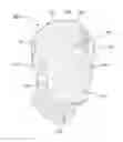 Fig. 01 - WOUND CARE MASK