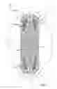 Fig. 04 - Absorbent article comprising fluid handling zones
