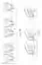 Fig. 11 - Absorbent Articles Having Both Distinct And Identical Graphics And Apparatus And Method For Printing Such Absorbent Articles