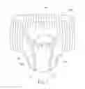 Fig. 12 - Absorbent Articles Having Both Distinct And Identical Graphics And Apparatus And Method For Printing Such Absorbent Articles
