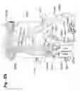 Fig. 31 - Apparatus for lifting a chair