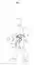Fig. 02 - Walking assist device