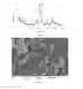 Fig. 15 - Hollow calcium phosphate particles