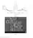 Fig. 16 - Hollow calcium phosphate particles