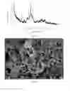 Fig. 17 - Hollow calcium phosphate particles
