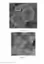Fig. 21 - Hollow calcium phosphate particles