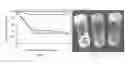 Fig. 21 - Biodegradable copolymers, systems including the copolymers, and methods of forming and using same