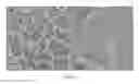 Fig. 03 - Mesoporous silica-coated nanoparticles