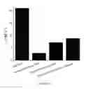 Fig. 07 - Mesoporous silica-coated nanoparticles