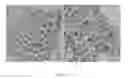 Fig. 08 - Mesoporous silica-coated nanoparticles