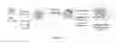 Fig. 10 - Mesoporous silica-coated nanoparticles