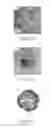 Fig. 12 - Mesoporous silica-coated nanoparticles