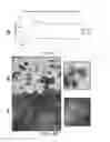 Fig. 15 - Multistage delivery of active agents
