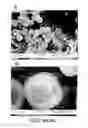 Fig. 16 - Multistage delivery of active agents