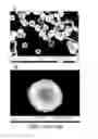 Fig. 18 - Multistage delivery of active agents