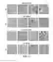 Fig. 24 - Multistage delivery of active agents