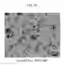 Fig. 06 - Substance-containing vesicle, and production method therefor