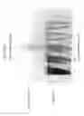 Fig. 11 - Substance-containing vesicle, and production method therefor