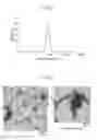 Fig. 23 - Substance-containing vesicle, and production method therefor