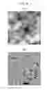 Fig. 25 - Substance-containing vesicle, and production method therefor