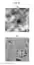 Fig. 26 - Substance-containing vesicle, and production method therefor