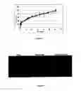Fig. 03 - Biodegradable Bionanoparticles for Releasing the GSE24-2 Peptide, Method for the Production Thereof, and Use of Same