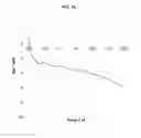 Fig. 09 - Transdermal delivery system comprising donepezil or its salt