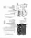 Fig. 06 - METHODS OF TREATMENT OF KERATINOCYTE-DERIVED LESIONS