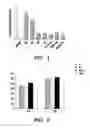 Fig. 02 - METHODS FOR TREATMENT OF CARDIOMYOPATHY