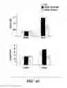 Fig. 07 - METHODS FOR TREATMENT OF CARDIOMYOPATHY