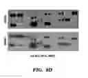 Fig. 08 - METHODS FOR TREATMENT OF CARDIOMYOPATHY