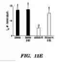 Fig. 17 - METHODS FOR TREATMENT OF CARDIOMYOPATHY