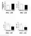 Fig. 24 - METHODS FOR TREATMENT OF CARDIOMYOPATHY