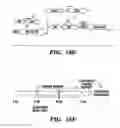 Fig. 28 - METHODS FOR TREATMENT OF CARDIOMYOPATHY