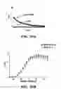 Fig. 29 - METHODS FOR TREATMENT OF CARDIOMYOPATHY