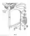 Fig. 03 - Method of treating disease by auricular anesthesia of cranial nerves