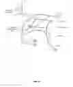 Fig. 07 - Method of treating disease by auricular anesthesia of cranial nerves