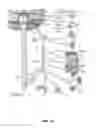 Fig. 15 - Method of treating disease by auricular anesthesia of cranial nerves