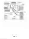 Fig. 16 - Method of treating disease by auricular anesthesia of cranial nerves
