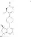 Fig. 08 - Combinations of AKT inhibitor compounds and erlotinib, and methods of use