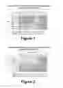Fig. 02 - Molecular and Herbal Combinations with Methotrexate for Treating Diseases and Inflammatory Ailments