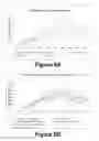 Fig. 06 - Molecular and Herbal Combinations with Methotrexate for Treating Diseases and Inflammatory Ailments