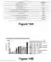 Fig. 14 - Molecular and Herbal Combinations with Methotrexate for Treating Diseases and Inflammatory Ailments