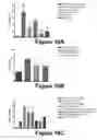 Fig. 16 - Molecular and Herbal Combinations with Methotrexate for Treating Diseases and Inflammatory Ailments
