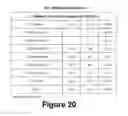 Fig. 20 - Molecular and Herbal Combinations with Methotrexate for Treating Diseases and Inflammatory Ailments