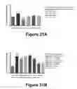 Fig. 21 - Molecular and Herbal Combinations with Methotrexate for Treating Diseases and Inflammatory Ailments