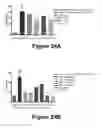 Fig. 24 - Molecular and Herbal Combinations with Methotrexate for Treating Diseases and Inflammatory Ailments