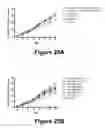 Fig. 25 - Molecular and Herbal Combinations with Methotrexate for Treating Diseases and Inflammatory Ailments