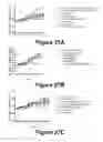 Fig. 27 - Molecular and Herbal Combinations with Methotrexate for Treating Diseases and Inflammatory Ailments